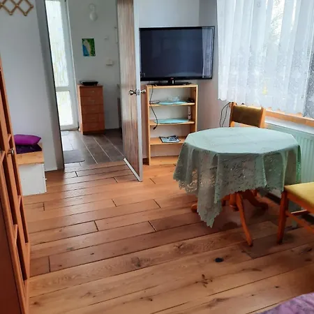 Wladyslawowo Modrzew *