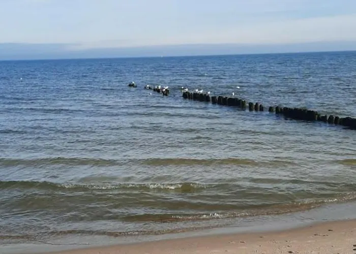 Wladyslawowo Modrzew Lägenhet Lebcz