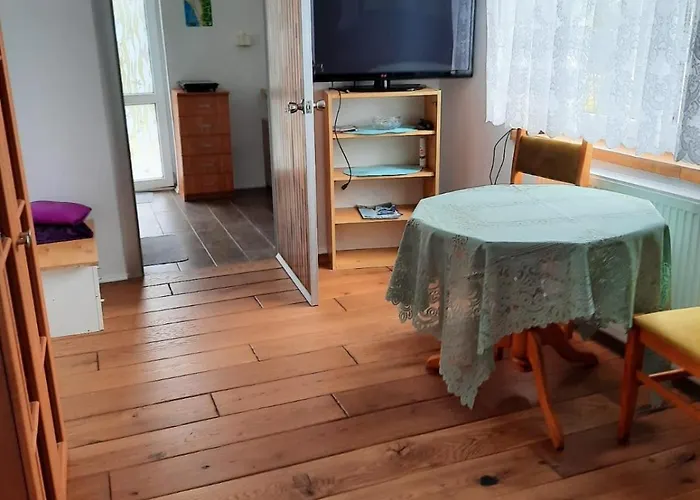 Wladyslawowo Modrzew *